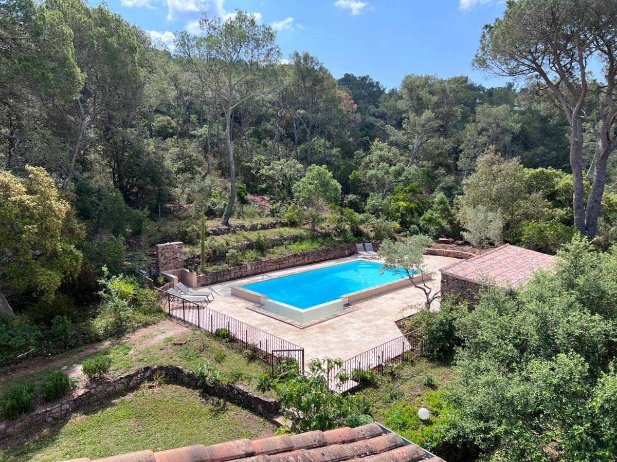 Les Hauts De Diane, Cuers Var Bagian luar foto