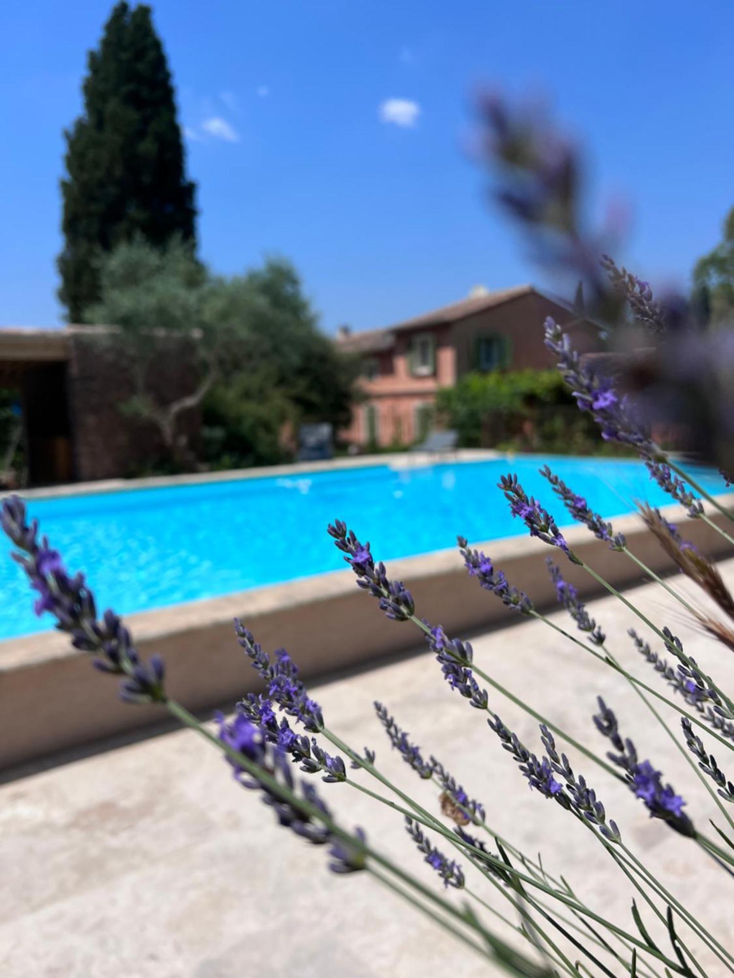 Les Hauts De Diane, Cuers Var Bagian luar foto